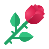 🌹 Sant Joan / Sant Jordi